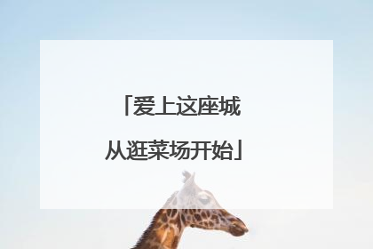 爱上这座城 从逛菜场开始