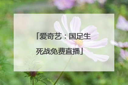 爱奇艺：国足生死战免费直播