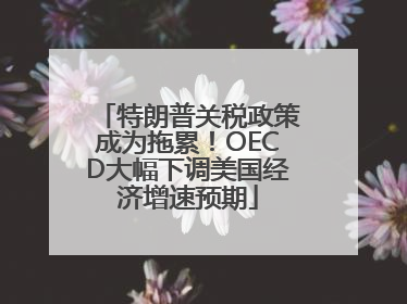 特朗普关税政策成为拖累！OECD大幅下调美国经济增速预期