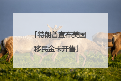 特朗普宣布美国移民金卡开售