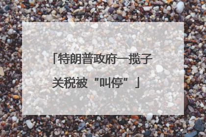 特朗普政府一揽子关税被“叫停”
