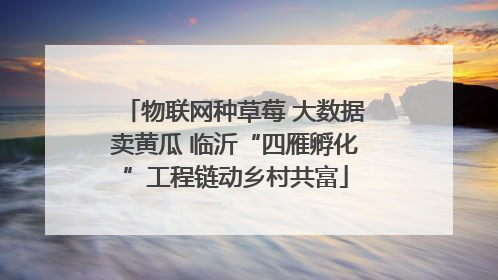 物联网种草莓 大数据卖黄瓜 临沂“四雁孵化”工程链动乡村共富