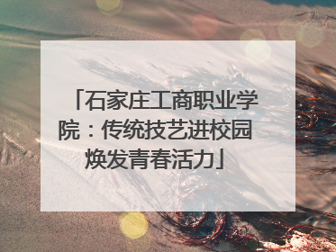 石家庄工商职业学院：传统技艺进校园焕发青春活力