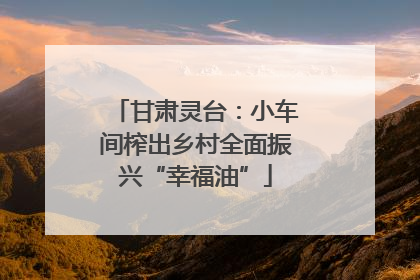 甘肃灵台：小车间榨出乡村全面振兴“幸福油”