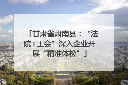 甘肃省肃南县：“法院+工会”深入企业开展“精准体检”