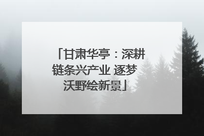 甘肃华亭：深耕链条兴产业 逐梦沃野绘新景