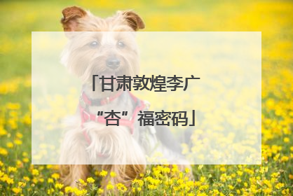甘肃敦煌李广“杏”福密码