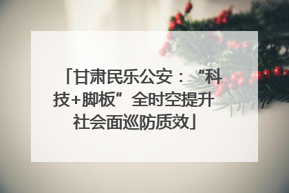 甘肃民乐公安：“科技+脚板”全时空提升社会面巡防质效