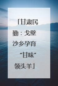 甘肃民勤：戈壁沙乡孕育“甘味”领头羊