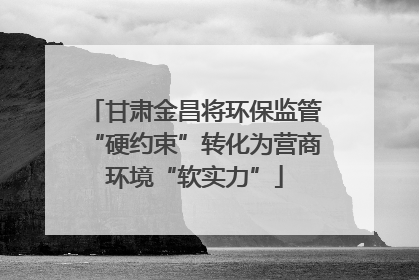甘肃金昌将环保监管“硬约束”转化为营商环境“软实力”