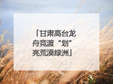 甘肃高台龙舟竞渡“划”亮荒漠绿洲