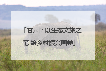 甘肃：以生态文旅之笔 绘乡村振兴画卷