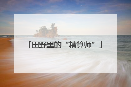 田野里的“精算师”