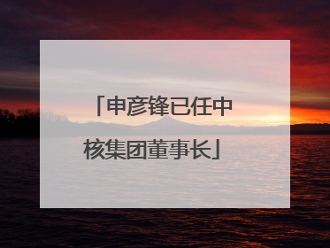 申彦锋已任中核集团董事长