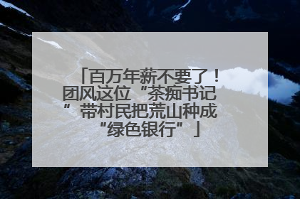 百万年薪不要了！团风这位“茶痴书记”带村民把荒山种成“绿色银行”