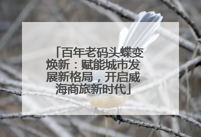 百年老码头蝶变焕新：赋能城市发展新格局，开启威海商旅新时代