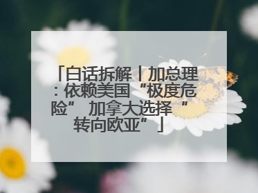 白话拆解丨加总理：依赖美国“极度危险” 加拿大选择“转向欧亚”