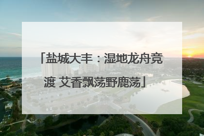 盐城大丰：湿地龙舟竞渡 艾香飘荡野鹿荡