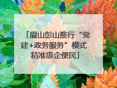 眉山彭山推行“党建+政务服务”模式 精准惠企便民