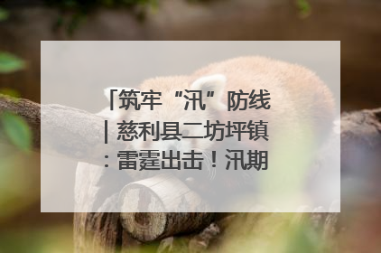 筑牢“汛”防线｜慈利县二坊坪镇：雷霆出击！汛期捕鱼被紧急叫停