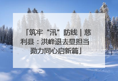 筑牢“汛”防线｜慈利县：洪峰退去显担当 勠力同心启新篇