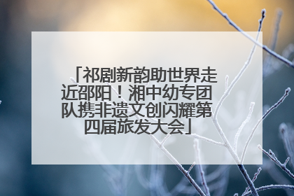 祁剧新韵助世界走近邵阳！湘中幼专团队携非遗文创闪耀第四届旅发大会