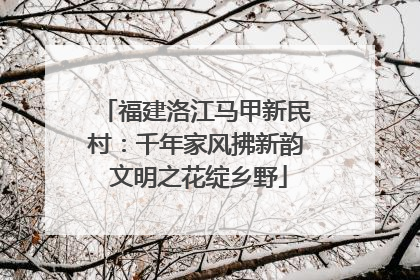 福建洛江马甲新民村：千年家风拂新韵 文明之花绽乡野