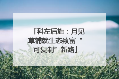 科左后旗：月见草铺就生态致富“可复制”新路