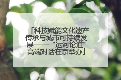 科技赋能文化遗产传承与城市可持续发展——“运河论道”高端对话在京举办