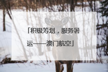 积极筹划，服务暑运——澳门航空