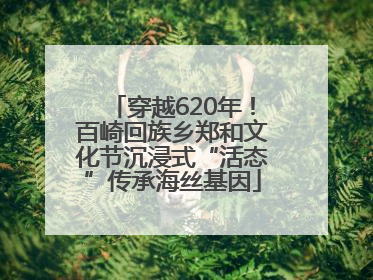 穿越620年！百崎回族乡郑和文化节沉浸式“活态”传承海丝基因