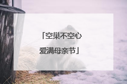 空巢不空心 爱满母亲节