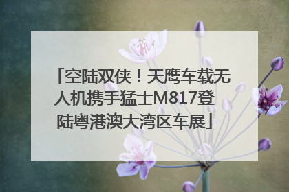 空陆双侠！天鹰车载无人机携手猛士M817登陆粤港澳大湾区车展