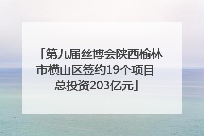 第九届丝博会陕西榆林市横山区签约19个项目 总投资203亿元