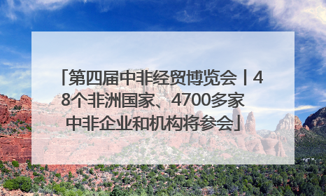 第四届中非经贸博览会丨48个非洲国家、4700多家中非企业和机构将参会