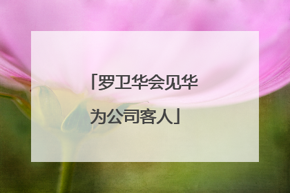 罗卫华会见华为公司客人