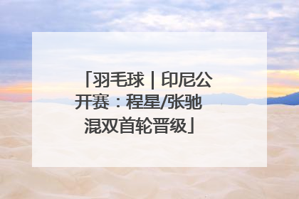 羽毛球｜印尼公开赛：程星/张驰混双首轮晋级