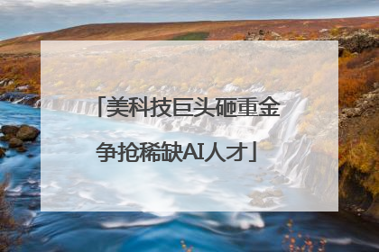 美科技巨头砸重金争抢稀缺AI人才