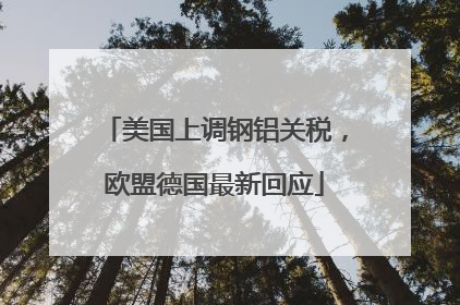 美国上调钢铝关税，欧盟德国最新回应