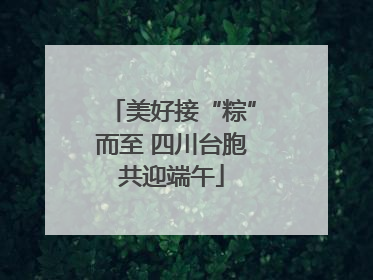 美好接“粽”而至 四川台胞共迎端午