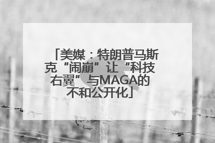 美媒：特朗普马斯克“闹崩”让“科技右翼”与MAGA的不和公开化