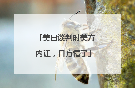 美日谈判时美方内讧，日方懵了