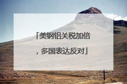 美钢铝关税加倍，多国表达反对
