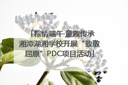 粽情端午·童趣传承 湘潭湖湘学校开展“致敬屈原”PDC项目活动
