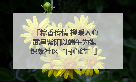 粽香传情 橙暖人心 武昌紫阳以端午为媒织就社区“同心结”