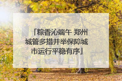 粽香沁端午 郑州城管多措并举保障城市运行平稳有序
