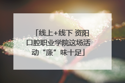 线上+线下 资阳口腔职业学院这场活动“廉”味十足