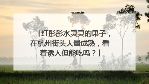 红彤彤水灵灵的果子，在杭州街头大量成熟，看着诱人但能吃吗？
