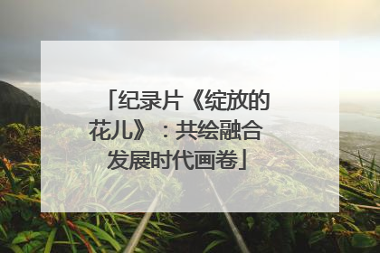 纪录片《绽放的花儿》：共绘融合发展时代画卷