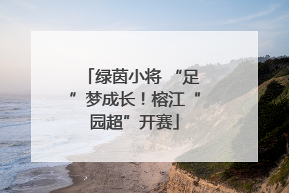 绿茵小将 “足”梦成长！榕江“园超”开赛